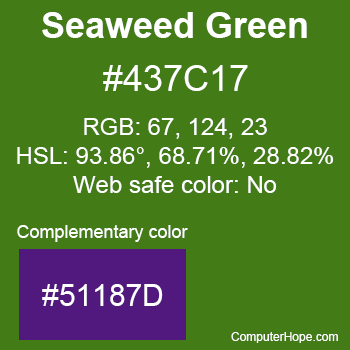 Example of Seaweed Green color or HTML color code #437C17 with complementary color #51187D.