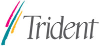 Trident Microsystems logo