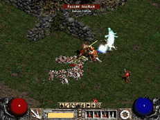 Diablo 2 fighting