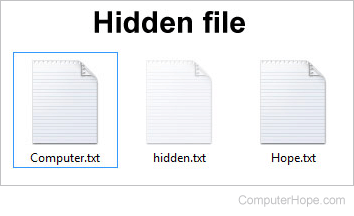 Windows hidden file