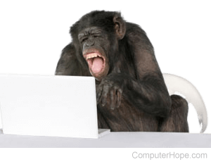 Monkey using a laptop and laughing.