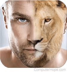 Half human face and half lion face to represent morphing.