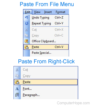 Paste from file menu or right-click.