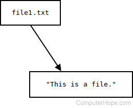 file1.txt's link and data components