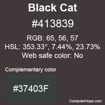 Example of Black Cat color or HTML color code #413839 with complementary color #37403F.