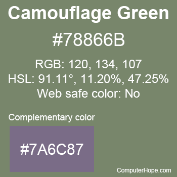 Example of Camouflage Green color or HTML color code #78866B with complementary color #7A6C87.