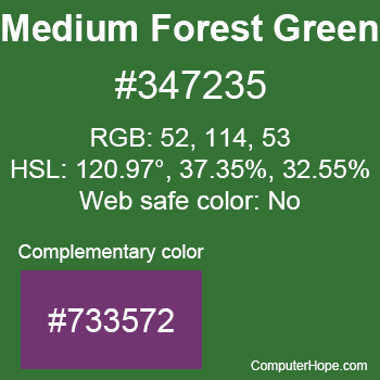 Example of Medium Forest Green color or HTML color code #347235 with complementary color #733572.