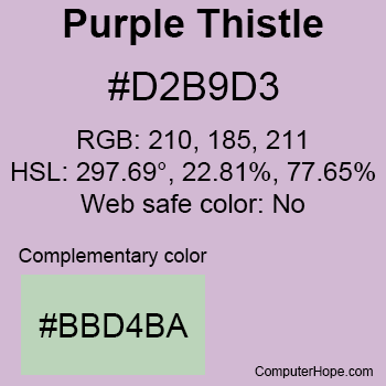Example of Purple Thistle color or HTML color code #D2B9D3.