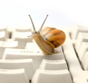 Snail on a computer keyboard, indicating slow Internet.