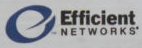 Efficient Networks logo