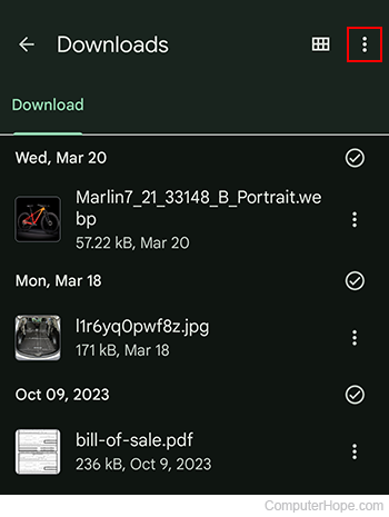 Kebab menu in the Downloads folder on Android.