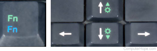 Fn key, and brightness keys on the up and down keys