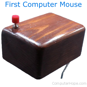 First computer mouse.