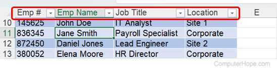 Data formatted as a table with custom column headers displayed in default header row.