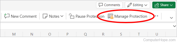 Manage Protections option in Microsoft Excel Online.