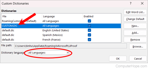 Microsoft Word custom dictionary language settings.