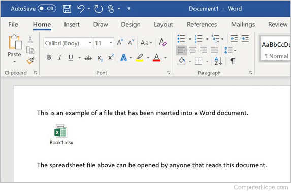Embedded file in a Microsoft Word document