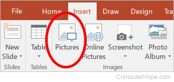 PowerPoint - Insert Picture