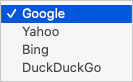 Search engine list in Safari.