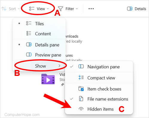 Show hidden objects option in Windows 11 File Explorer.