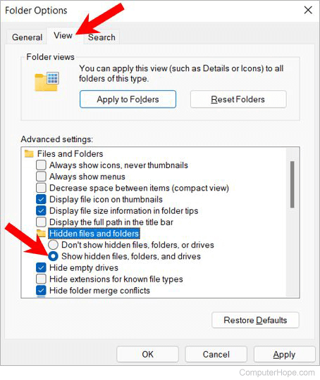 Windows 11 Explorer Options - show hidden files