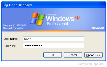 Windows password log on