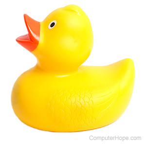 gebruik Reizende handelaar Onderscheiden What is a Baby Duck Syndrome?