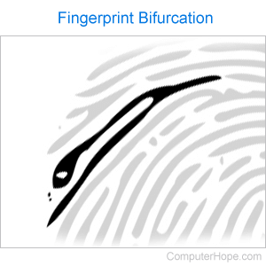 Fingerprint bifurcation