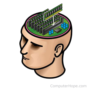 Illustrated person's head and memory chips inserted in the top.