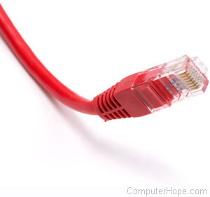 Red Ethernet cable.