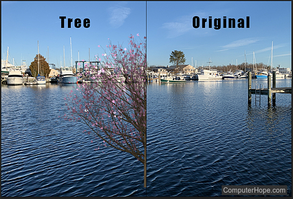 Contoh filter pohon di Adobe Photoshop.
