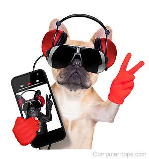 Dog wearing headphones and sunglasses, holding a smartphone.