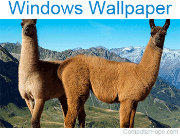 Windows wallpaper